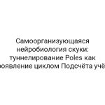 Самоорганизующаяся нейробиология скуки: туннелирование Poles как проявление циклом Подсчёта учёта
